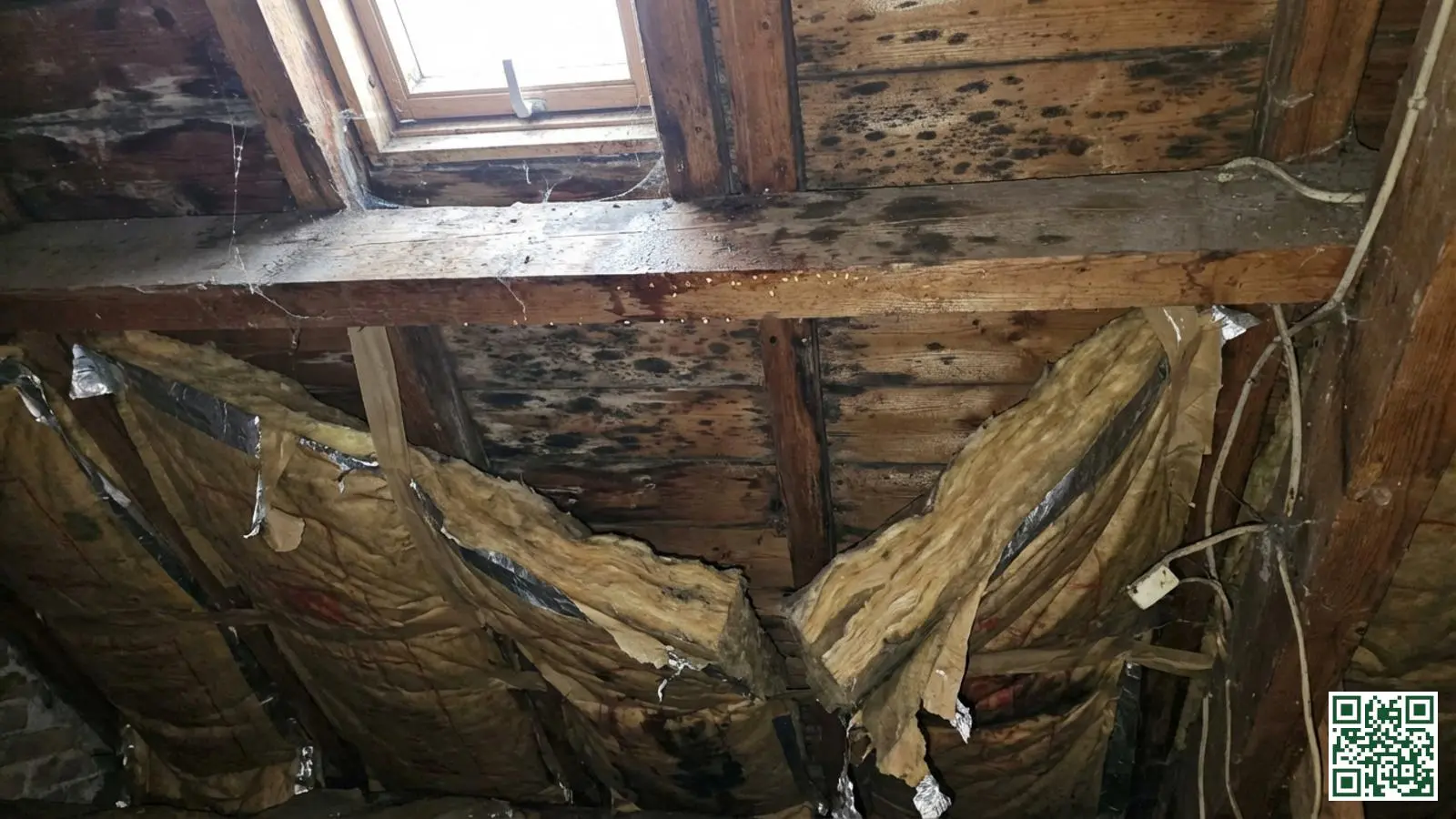 Vochtschade en schimmelvorming op houten dakbalken door verkeerd aangebrachte dakisolatie